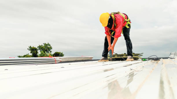 Best Rubber Roofing (EPDM, TPO)  in Frankfort, MI