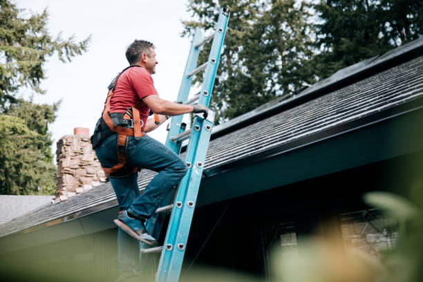 Best Storm Damage Roof Repair  in Frankfort, MI